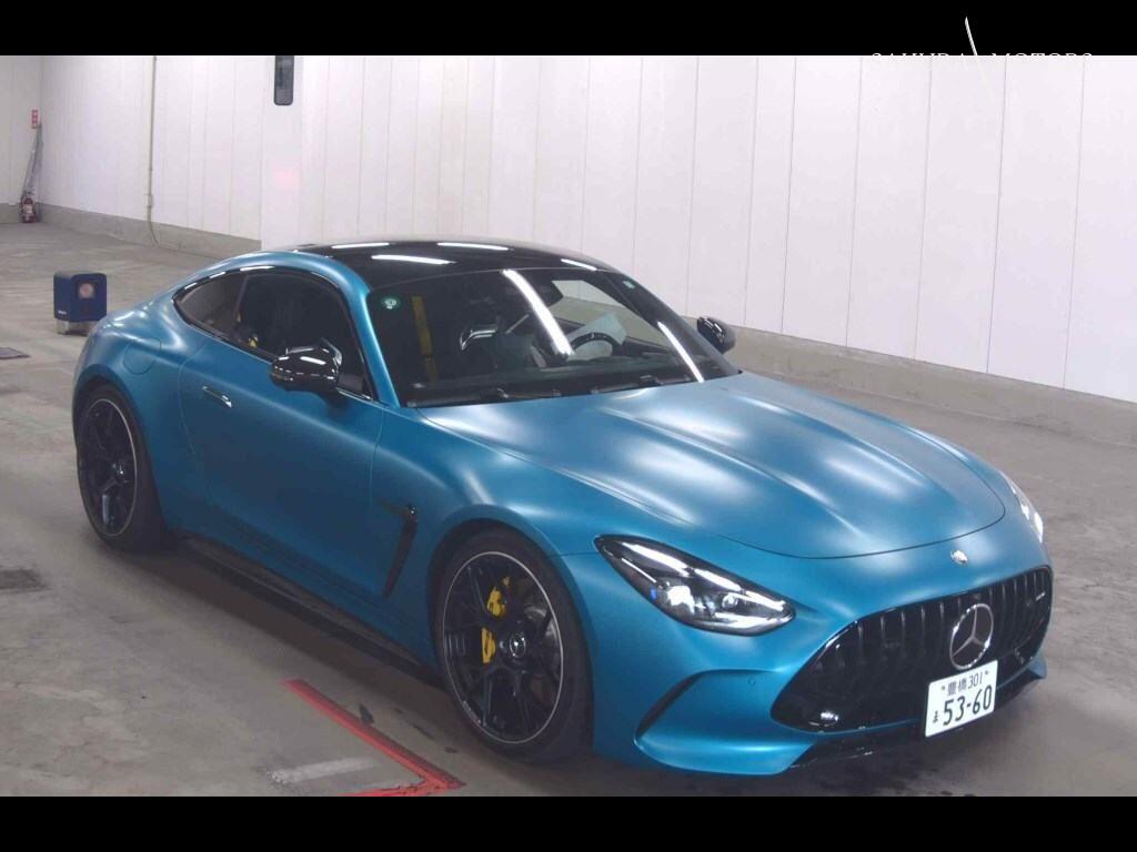 MERCEDES AMG GT 3D 4WD OTHERS